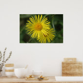 Gelbe Blume Poster (Küche)