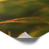 Gelbe Blume Poster (Ecke)