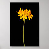 Gelbe Blume Poster (Vorne)