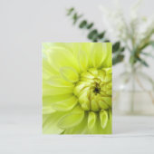 Gelbe Blume Postkarte (Stehend Vorderseite)