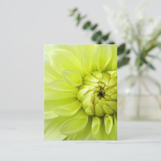 Gelbe Blume Postkarte (Stehend Vorderseite)