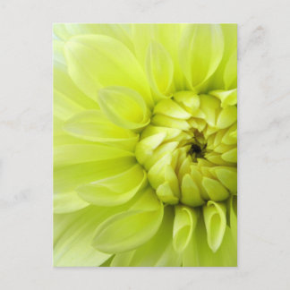 Gelbe Blume Postkarte