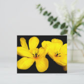 Gelbe Blume Postkarte (Stehend Vorderseite)
