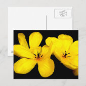 Gelbe Blume Postkarte (Vorne/Hinten)