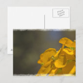 Gelbe Blume Postkarte (Vorne/Hinten)
