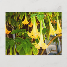 gelbe Blume Postkarte