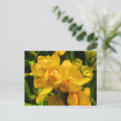 Gelbe Blume Postkarte (Stehend Vorderseite)