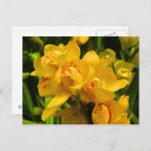 Gelbe Blume Postkarte (Vorne/Hinten)