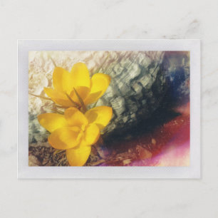 Gelbe Blume Postkarte