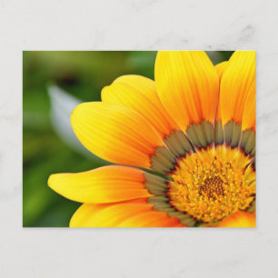 Gelbe Blume Postkarte