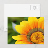 Gelbe Blume Postkarte (Vorne/Hinten)