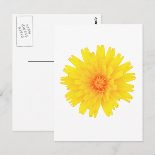 Gelbe Blume Postkarte (Vorne/Hinten)