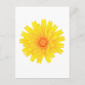 Gelbe Blume Postkarte (Vorderseite)