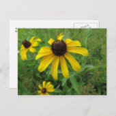 Gelbe Blume Postkarte (Vorne/Hinten)