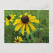 Gelbe Blume Postkarte (Vorderseite)