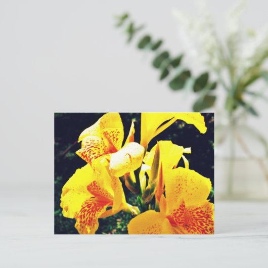 Gelbe Blume Postkarte (Stehend Vorderseite)