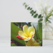 Gelbe Blume Postkarte (Stehend Vorderseite)