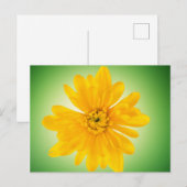 Gelbe Blume Postkarte (Vorne/Hinten)