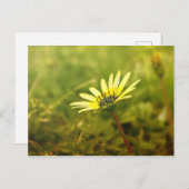 Gelbe Blume Postkarte (Vorne/Hinten)