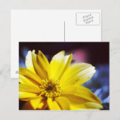 Gelbe Blume Postkarte (Vorne/Hinten)