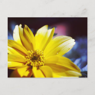 Gelbe Blume Postkarte