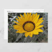 Gelbe Blume Postkarte (Vorne/Hinten)