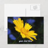 Gelbe Blume Postkarte (Vorne/Hinten)