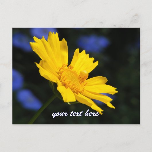 Gelbe Blume Postkarte (Vorderseite)