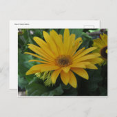 Gelbe Blume Postkarte (Vorne/Hinten)