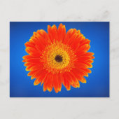 Gelbe Blume Postkarte (Vorderseite)