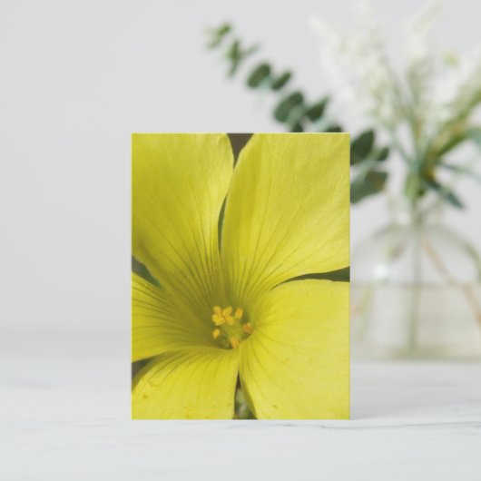 Gelbe Blume Postkarte (Stehend Vorderseite)