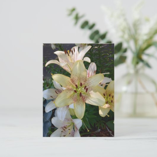 Gelbe Blume Postkarte (Stehend Vorderseite)