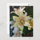 Gelbe Blume Postkarte (Vorne/Hinten)