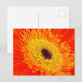 Gelbe Blume Postkarte (Vorne/Hinten)