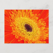 Gelbe Blume Postkarte (Vorderseite)