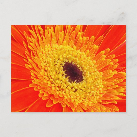 Gelbe Blume Postkarte (Vorderseite)