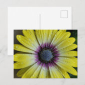 Gelbe Blume Postkarte (Vorne/Hinten)