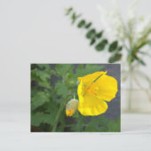 Gelbe Blume Postkarte (Stehend Vorderseite)