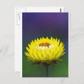 Gelbe Blume Postkarte (Vorne/Hinten)
