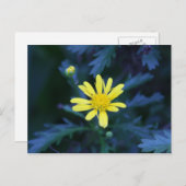 gelbe Blume Postkarte (Vorne/Hinten)