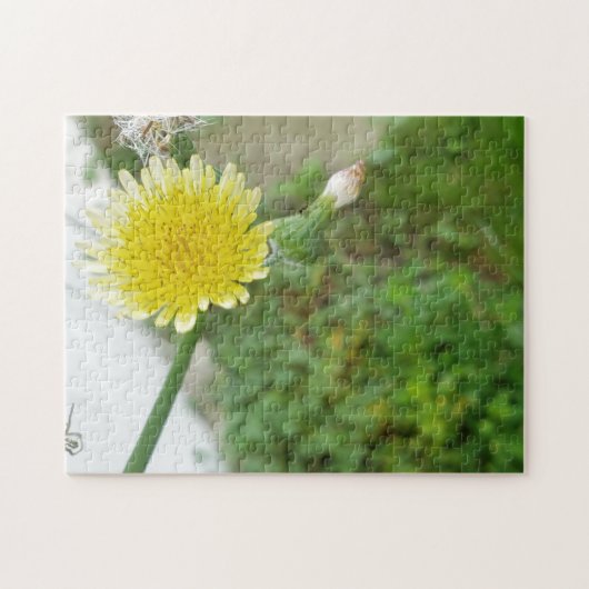 Gelbe Blume Puzzle (Horizontal)