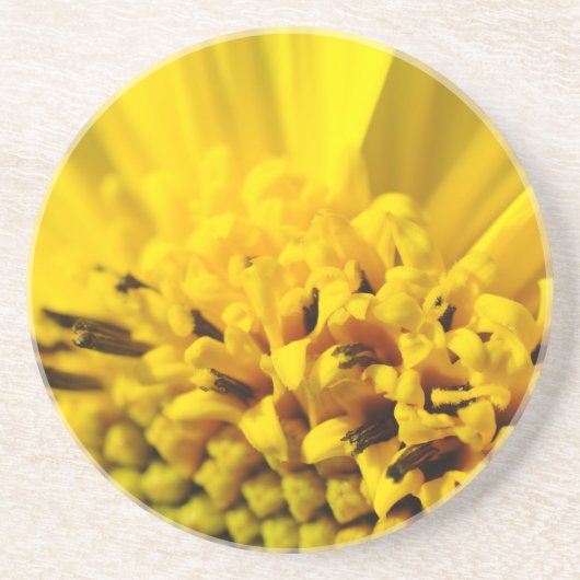 Gelbe Blume Sandstein Untersetzer (Vorne)