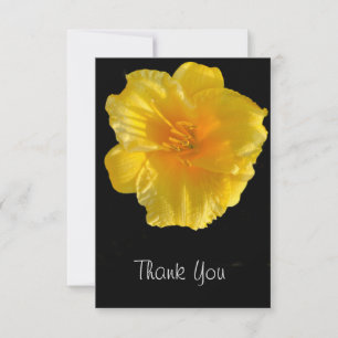 Gelbe Blume Schwarzer Hintergrund Danke Karte