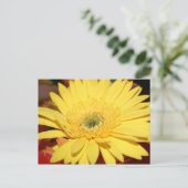 Gelbe Blume Sonnenblume Postkarte (Stehend Vorderseite)