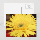 Gelbe Blume Sonnenblume Postkarte (Vorne/Hinten)