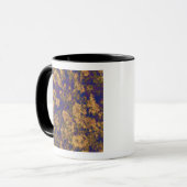 Gelbe Blume Tasse (Vorderseite Links)
