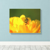 Gelbe Blume überzogene Leinwand (Insitu (Holzboden))