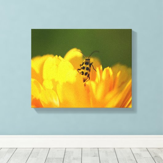 Gelbe Blume überzogene Leinwand (Insitu (Holzboden))