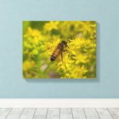 Gelbe Blume und Honigbiene Maleny 2016 Leinwanddruck (Insitu (Holzboden))