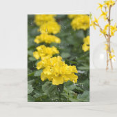 Gelbe Blume und Regen Karte (Gelbe Blume)
